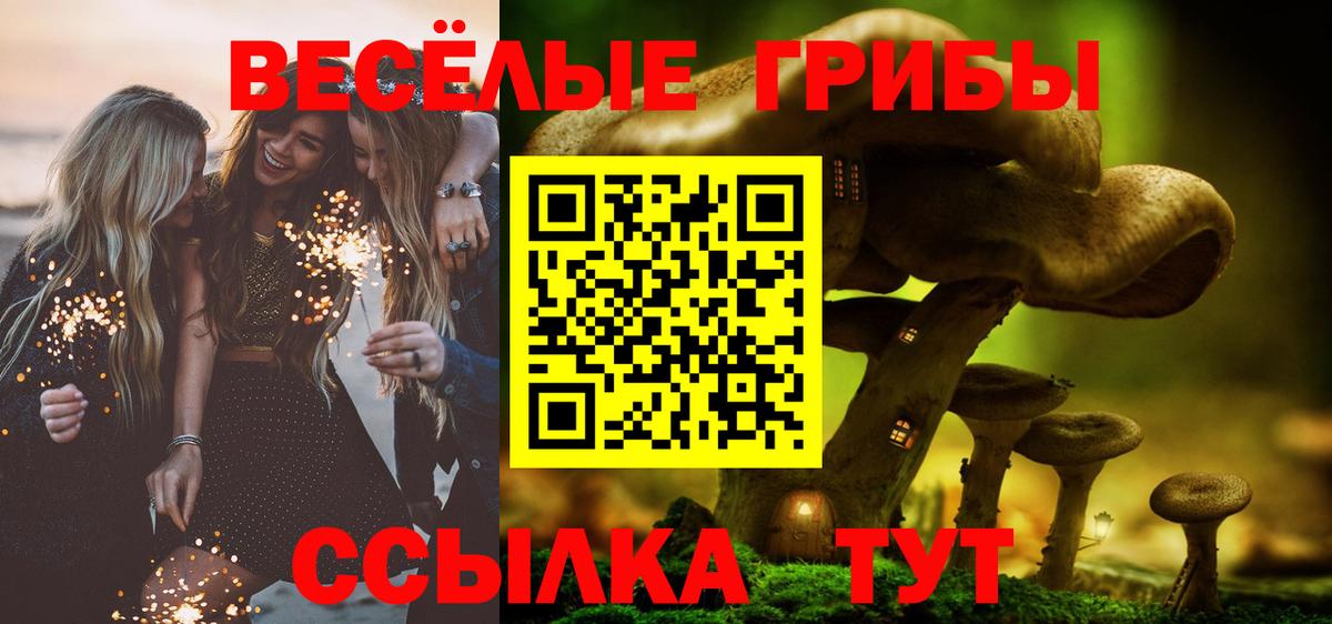 Галлюциногенные грибы Psilocybe  Вход с VPN  Псилоцибиновые грибы MAGIC MUSHROOMS  Протвино 