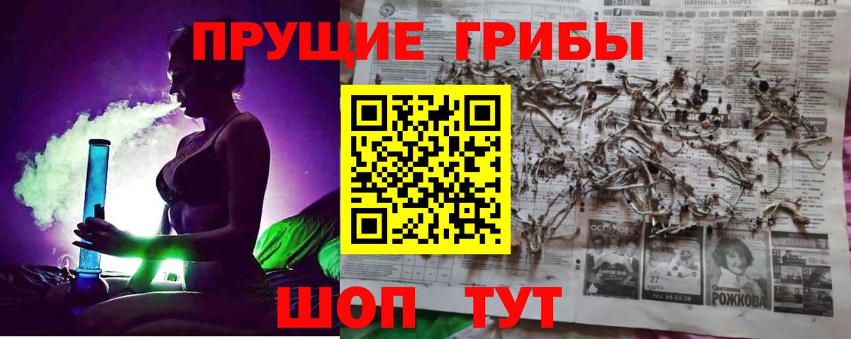 Псилоцибиновые грибы GOLDEN TEACHER Протвино